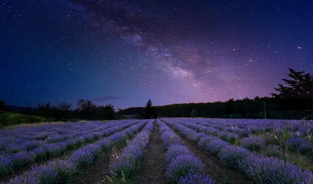 milky way, sky, stars, cosmos, night, space, astronomy, dark, universe, galaxy, milkyway, blue sky, blue stars, blue galaxy, night sky, nature, blue night, blue universe, blue dark