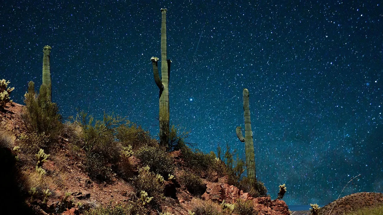 night, sky, stars, park, america, space, cosmos, galaxy, dark, astronomy, cactus, mountain. A Joint Pitch for Gateway Stargazing Trips Businesses