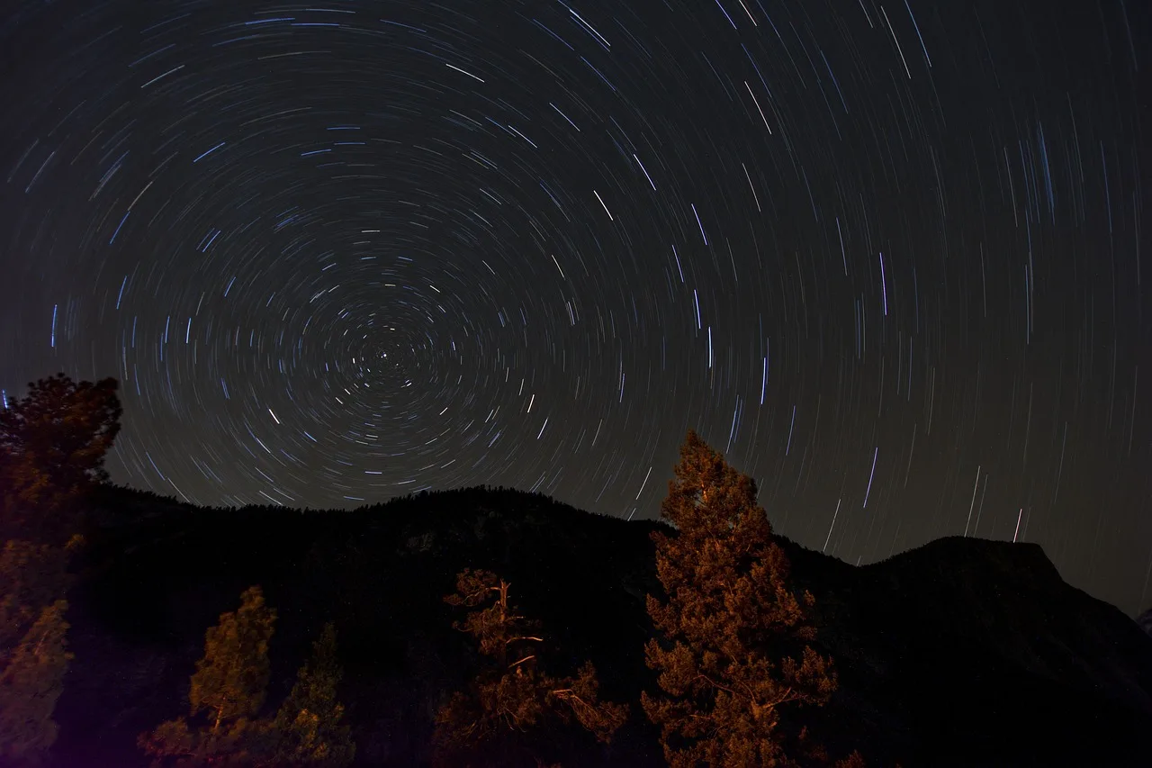 dark, night, stars, stargazing, astrophotography, trees, nature, woods. What to Ask an Experienced Stargazing Guide and What They Cannot Fix