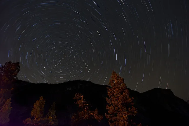 dark, night, stars, stargazing, astrophotography, trees, nature, woods. What to Ask an Experienced Stargazing Guide and What They Cannot Fix