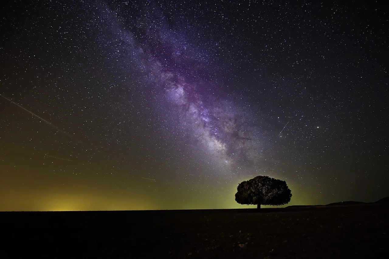 tree, stars, night, night sky, tree silhouette, milky way, starry sky, starry night, stargazing, cosmos, silhouette, sky, landscape, nature, stars, stars, stars, night, night sky, night sky, night sky, milky way, milky way, milky way, milky way, milky way, starry sky, starry night, stargazing, cosmos, cosmos, cosmos. Evidence checklist for stargazing trip costs: spending that rarely pays