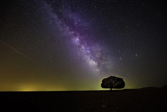 tree, stars, night, night sky, tree silhouette, milky way, starry sky, starry night, stargazing, cosmos, silhouette, sky, landscape, nature, stars, stars, stars, night, night sky, night sky, night sky, milky way, milky way, milky way, milky way, milky way, starry sky, starry night, stargazing, cosmos, cosmos, cosmos. Evidence checklist for stargazing trip costs: spending that rarely pays