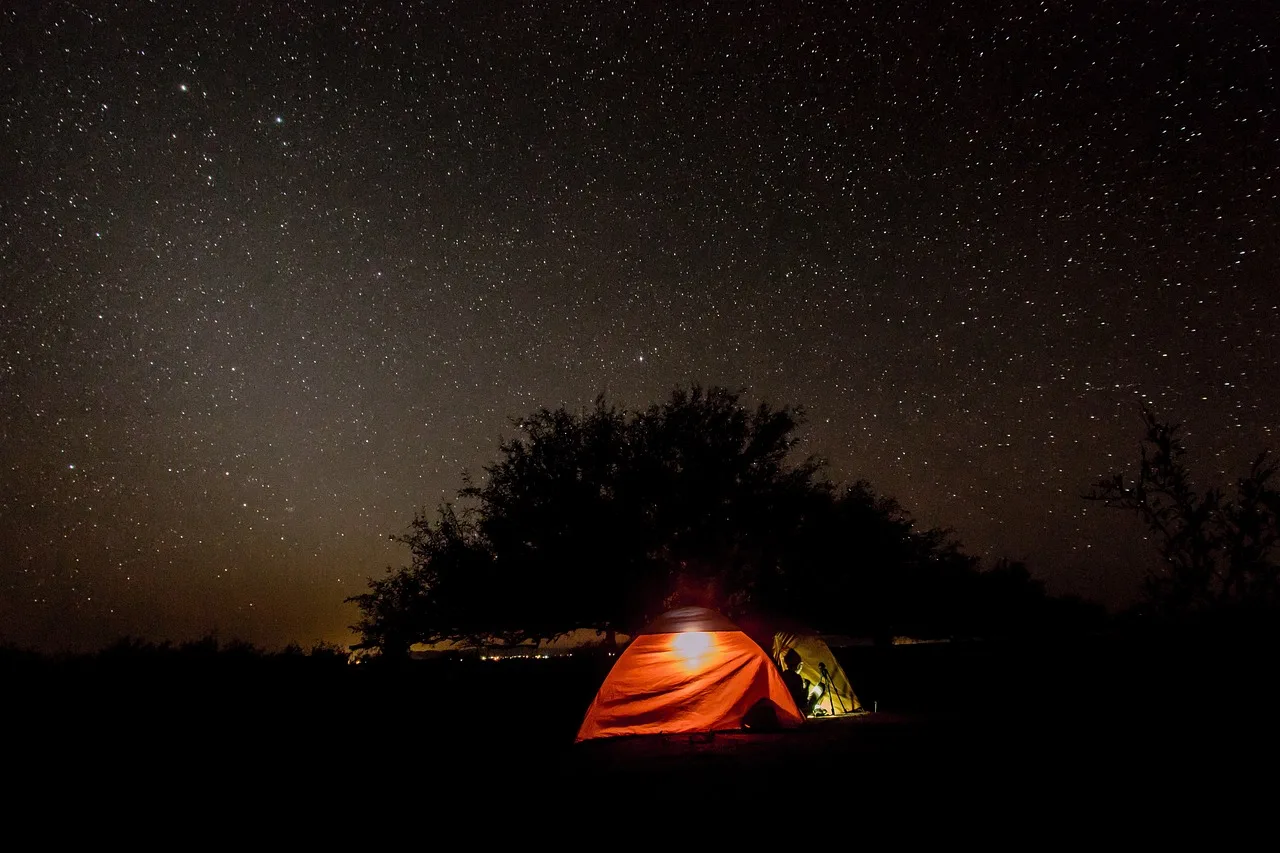 dark, night, sky, stars, trees, plants, nature, outdoor, adventure, night sky, tent, camping, black sky, black tree, brown stars, black stars, brown night, brown camping, black camping. The real cost of a two-night dark sky weekend, line by line