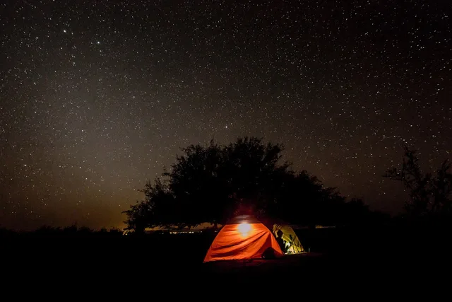 dark, night, sky, stars, trees, plants, nature, outdoor, adventure, night sky, tent, camping, black sky, black tree, brown stars, black stars, brown night, brown camping, black camping. The real cost of a two-night dark sky weekend, line by line
