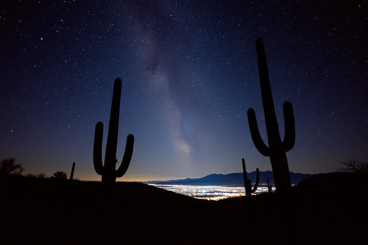 Saguaro cacti silhouetted under the Milky Way with Tucson's glow on the horizon (Judging stargazing trip costs accessible: where a limited budget should go)